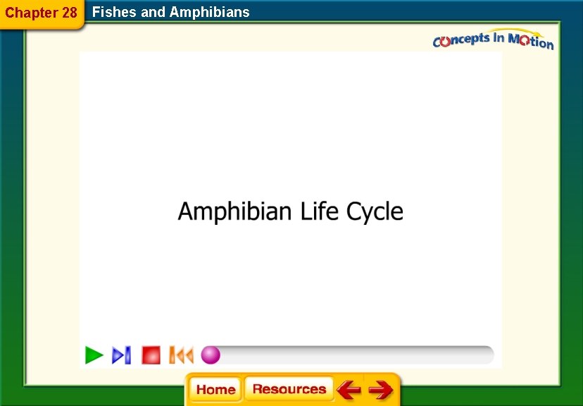 Chapter 28 Fishes and Amphibians 