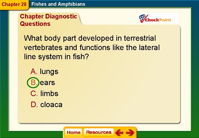 Chapter 28 Fishes and Amphibians Chapter Diagnostic Questions What body part developed in terrestrial