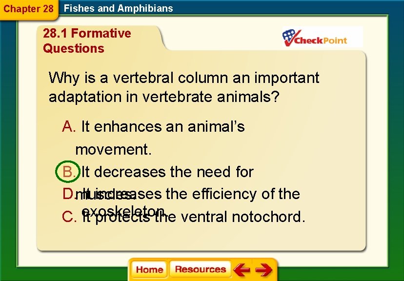 Chapter 28 Fishes and Amphibians 28. 1 Formative Questions Why is a vertebral column