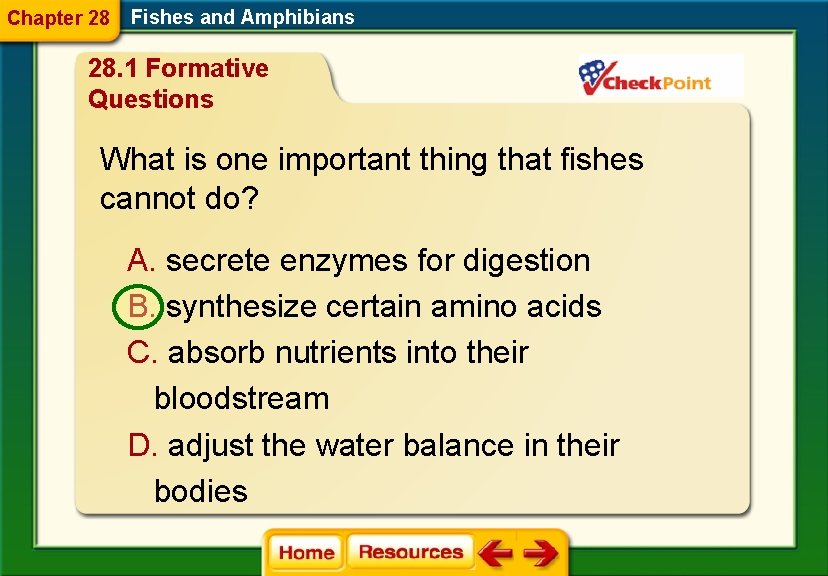 Chapter 28 Fishes and Amphibians 28. 1 Formative Questions What is one important thing