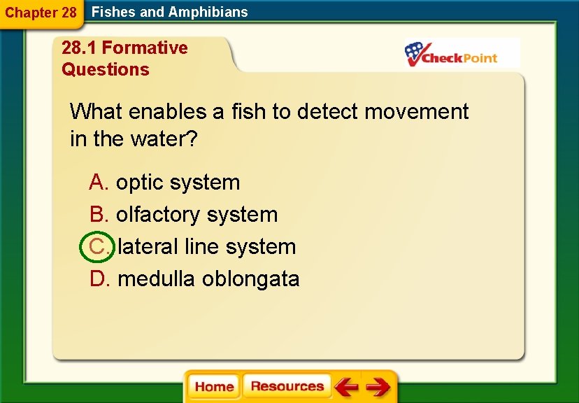 Chapter 28 Fishes and Amphibians 28. 1 Formative Questions What enables a fish to