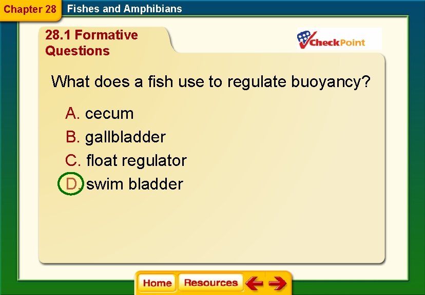 Chapter 28 Fishes and Amphibians 28. 1 Formative Questions What does a fish use