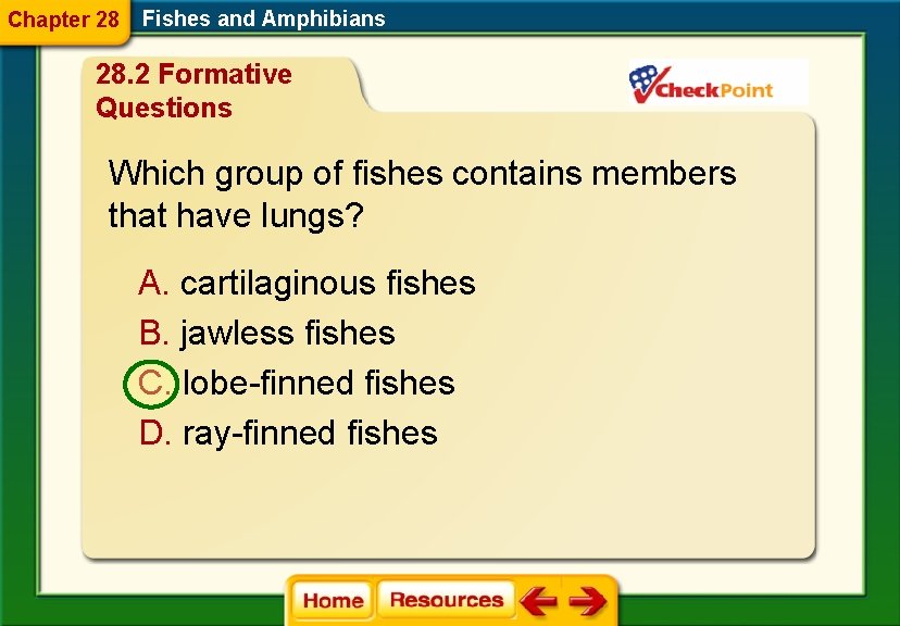 Chapter 28 Fishes and Amphibians 28. 2 Formative Questions Which group of fishes contains