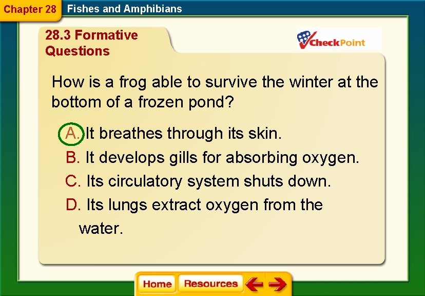 Chapter 28 Fishes and Amphibians 28. 3 Formative Questions How is a frog able