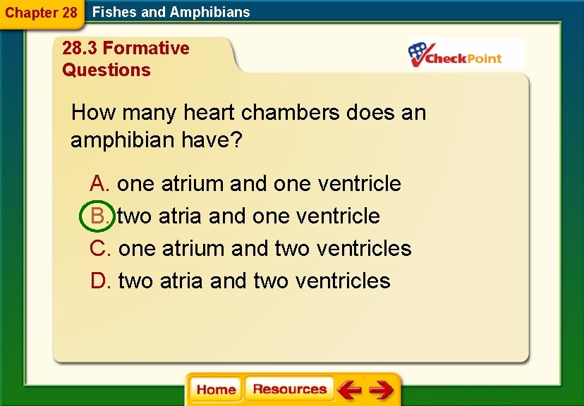 Chapter 28 Fishes and Amphibians 28. 3 Formative Questions How many heart chambers does