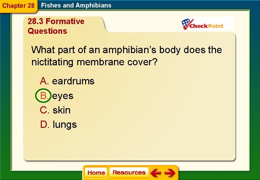 Chapter 28 Fishes and Amphibians 28. 3 Formative Questions What part of an amphibian’s