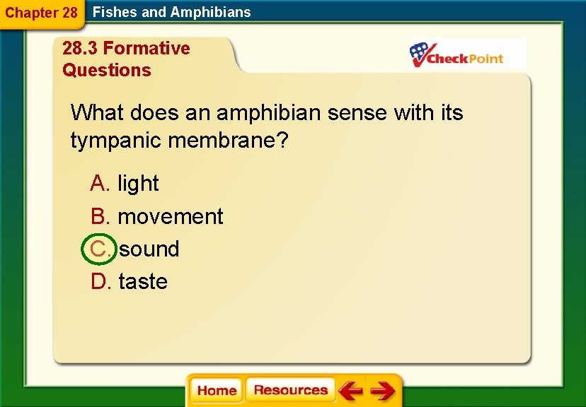 Chapter 28 Fishes and Amphibians 28. 3 Formative Questions What does an amphibian sense