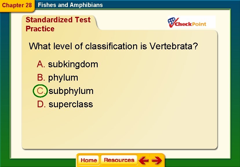 Chapter 28 Fishes and Amphibians Standardized Test Practice What level of classification is Vertebrata?