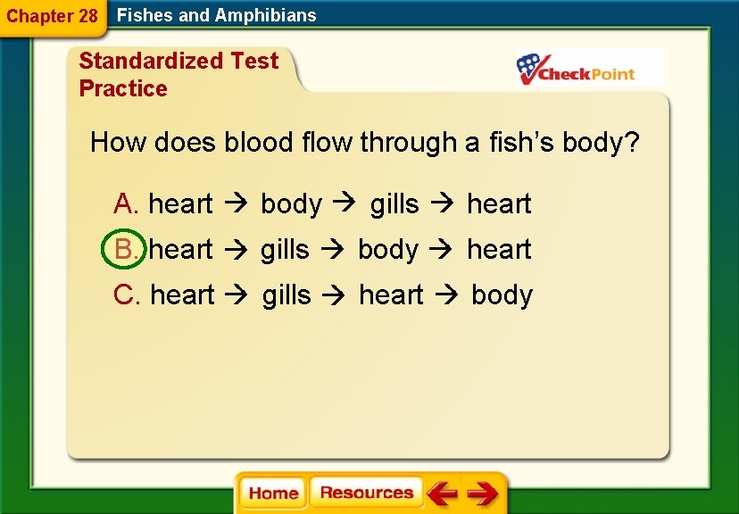 Chapter 28 Fishes and Amphibians Standardized Test Practice How does blood flow through a