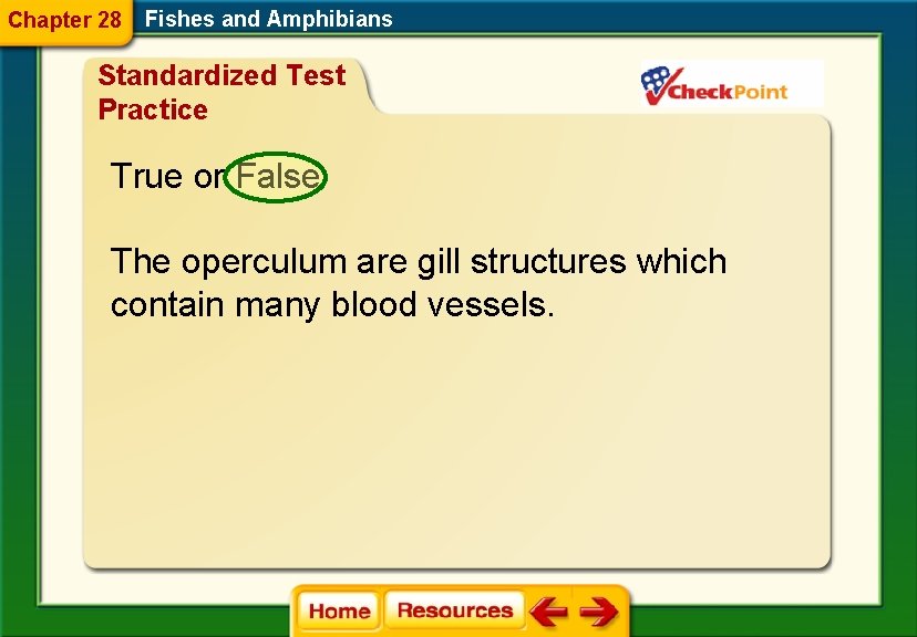 Chapter 28 Fishes and Amphibians Standardized Test Practice True or False The operculum are