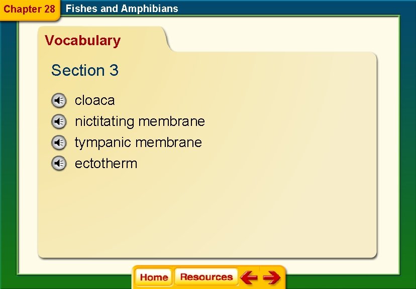 Chapter 28 Fishes and Amphibians Vocabulary Section 3 cloaca nictitating membrane tympanic membrane ectotherm