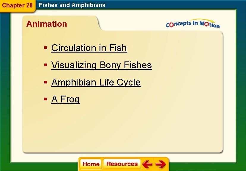 Chapter 28 Fishes and Amphibians Animation § Circulation in Fish § Visualizing Bony Fishes