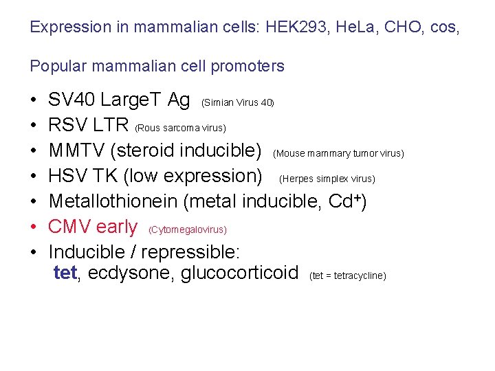 Expression in mammalian cells: HEK 293, He. La, CHO, cos, Popular mammalian cell promoters