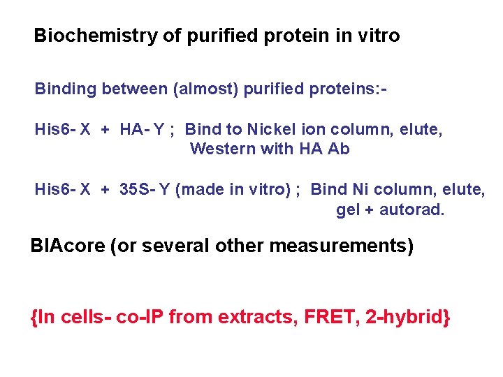 Biochemistry of purified protein in vitro Binding between (almost) purified proteins: His 6 -