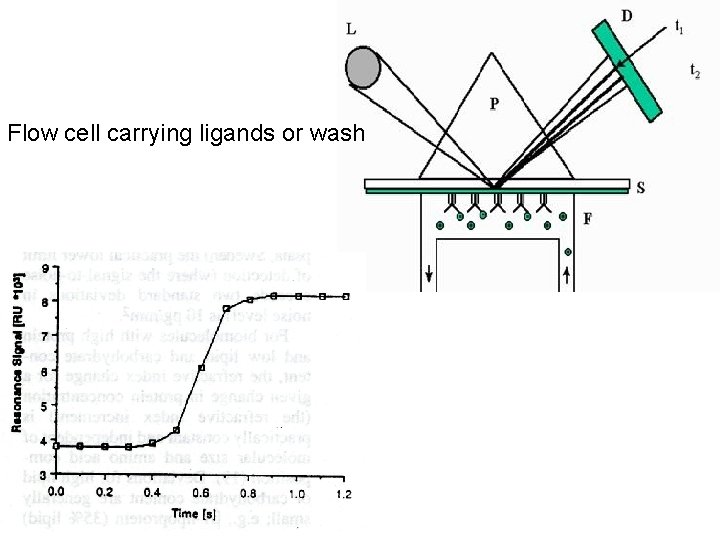 Flow cell carrying ligands or wash 
