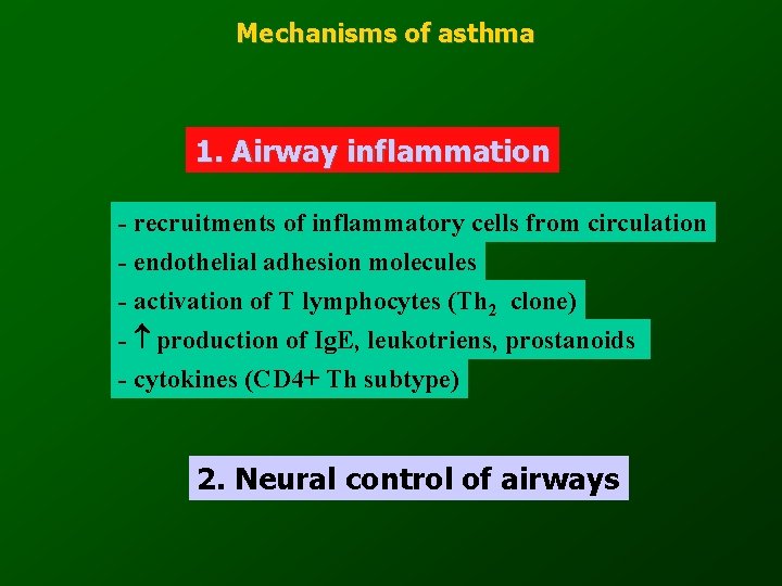 Mechanisms of asthma 1. Airway inflammation - recruitments of inflammatory cells from circulation -