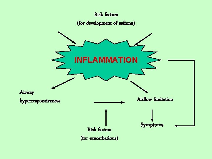 Risk factors (for development of asthma) INFLAMMATION Airway hyperresponsiveness Airflow limitation Risk factors (for