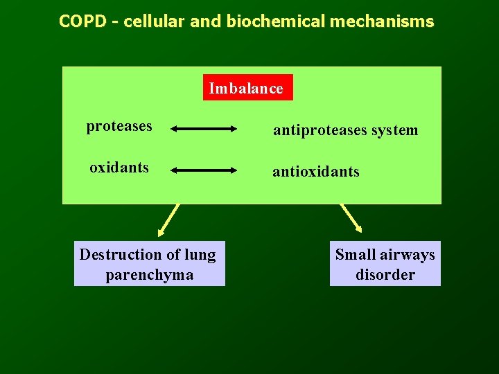 COPD - cellular and biochemical mechanisms Imbalance proteases antiproteases system oxidants antioxidants Destruction of