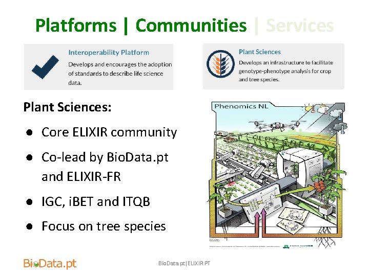 Platforms | Communities | Services Plant Sciences: ● Core ELIXIR community ● Co-lead by