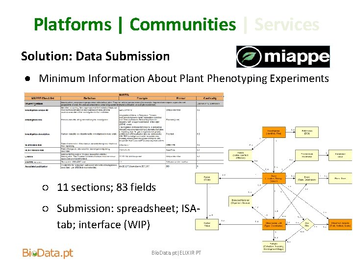 Platforms | Communities | Services Solution: Data Submission ● Minimum Information About Plant Phenotyping