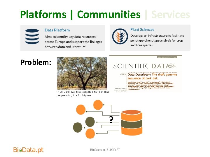 Platforms | Communities | Services Problem: HL 8 Cork oak tree selected for genome