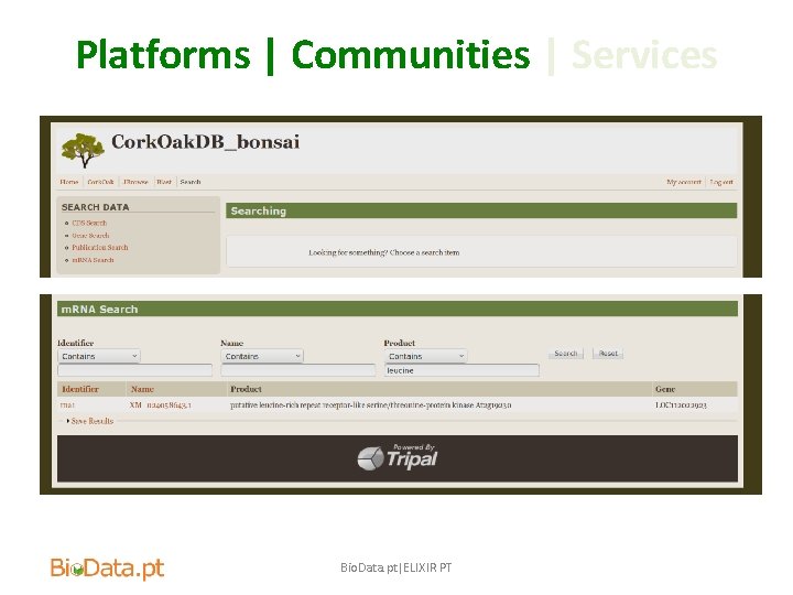 Platforms | Communities | Services Bio. Data. pt|ELIXIR PT 