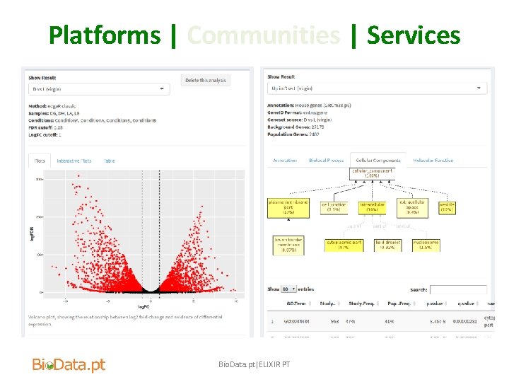 Platforms | Communities | Services Bio. Data. pt|ELIXIR PT 