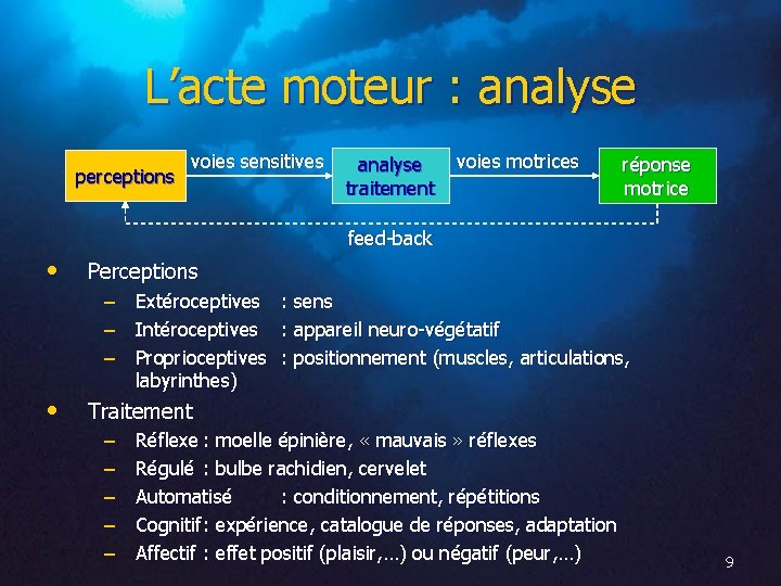 L’acte moteur : analyse perceptions voies sensitives analyse traitement voies motrices réponse motrice feed-back