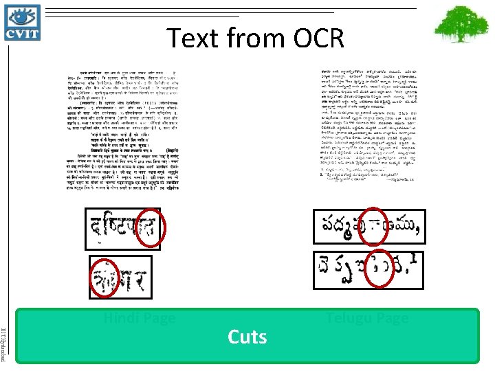 Text from OCR Hindi Page IIIT Hyderabad Cuts Telugu Page 