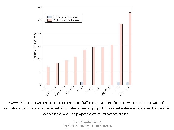 Figure 21. Historical and projected extinction rates of different groups. The figure shows a