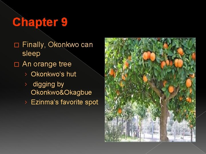 Chapter 9 Finally, Okonkwo can sleep � An orange tree � › Okonkwo’s hut
