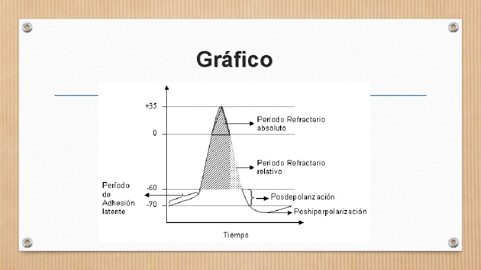 Gráfico 