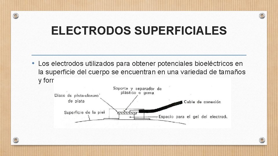 ELECTRODOS SUPERFICIALES • Los electrodos utilizados para obtener potenciales bioeléctricos en la superficie del