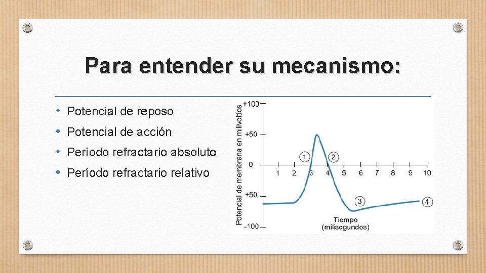 Para entender su mecanismo: • • Potencial de reposo Potencial de acción Período refractario