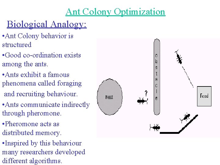 Ant Colony Optimization Biological Analogy: • Ant Colony behavior is structured • Good co-ordination