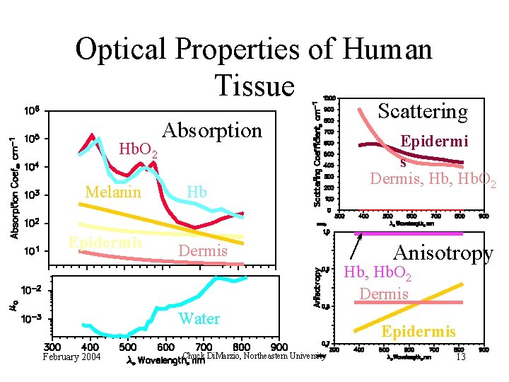 Optical Properties of Human Tissue Hb. O 2 Melanin Epidermis Absorption Hb Dermis Scattering