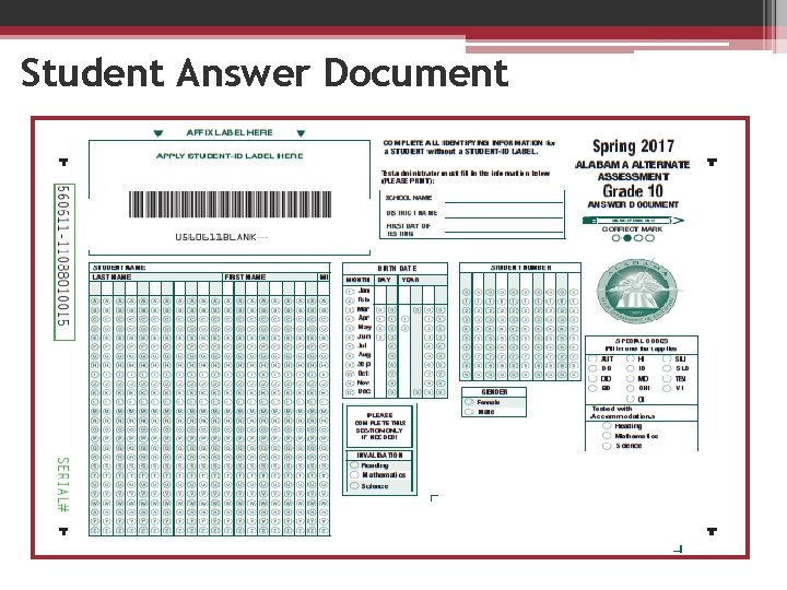 Student Answer Document 