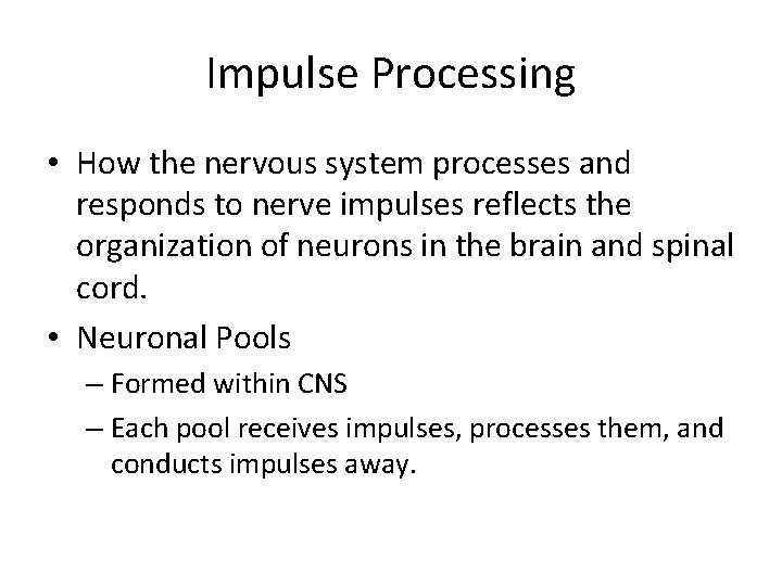 Impulse Processing • How the nervous system processes and responds to nerve impulses reflects