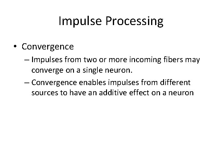 Impulse Processing • Convergence – Impulses from two or more incoming fibers may converge