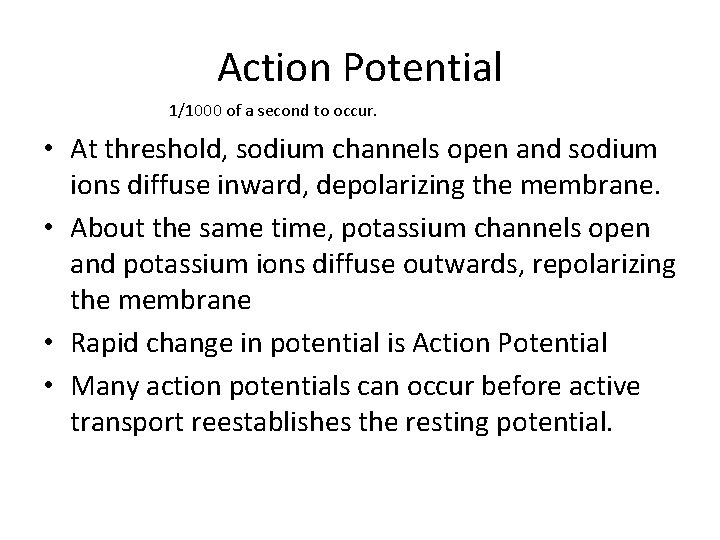 Action Potential 1/1000 of a second to occur. • At threshold, sodium channels open