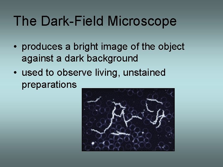 The Dark-Field Microscope • produces a bright image of the object against a dark