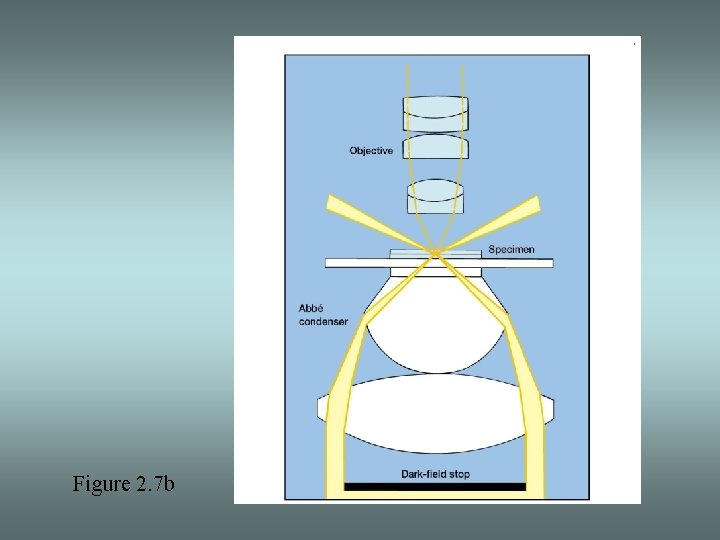 Figure 2. 7 b 