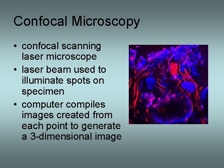 Confocal Microscopy • confocal scanning laser microscope • laser beam used to illuminate spots