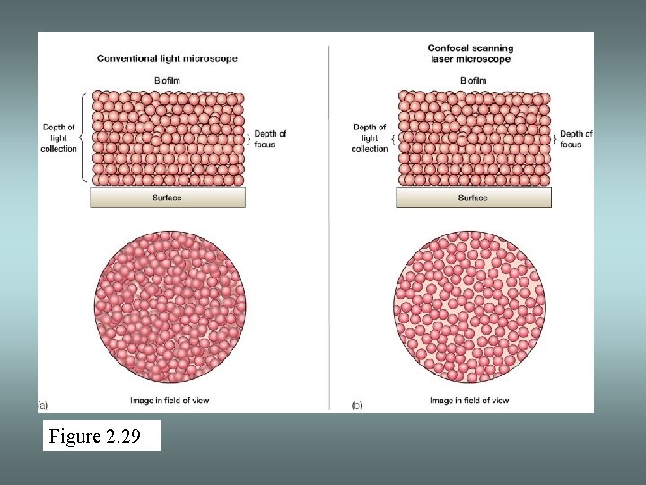 Figure 2. 29 