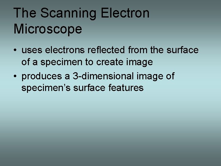 The Scanning Electron Microscope • uses electrons reflected from the surface of a specimen