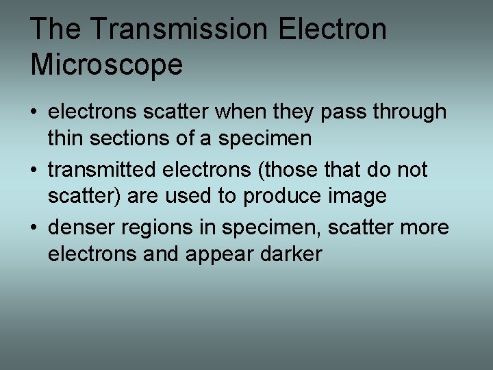 The Transmission Electron Microscope • electrons scatter when they pass through thin sections of