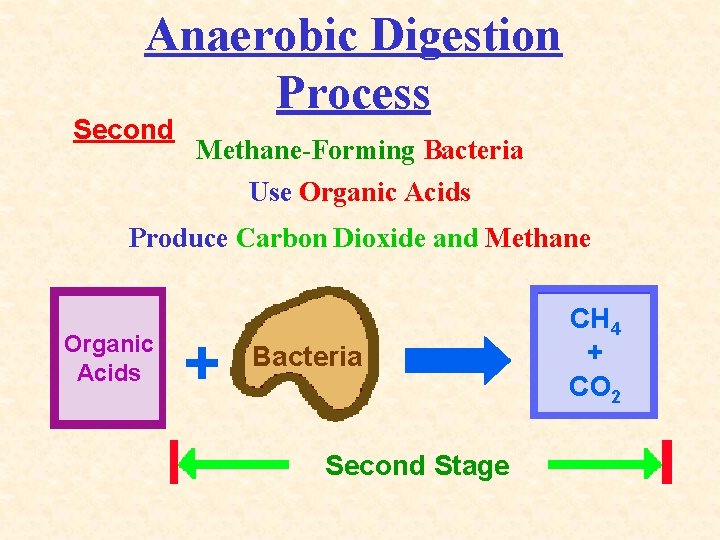 Anaerobic Digestion Process Second Methane-Forming Bacteria Use Organic Acids Produce Carbon Dioxide and Methane