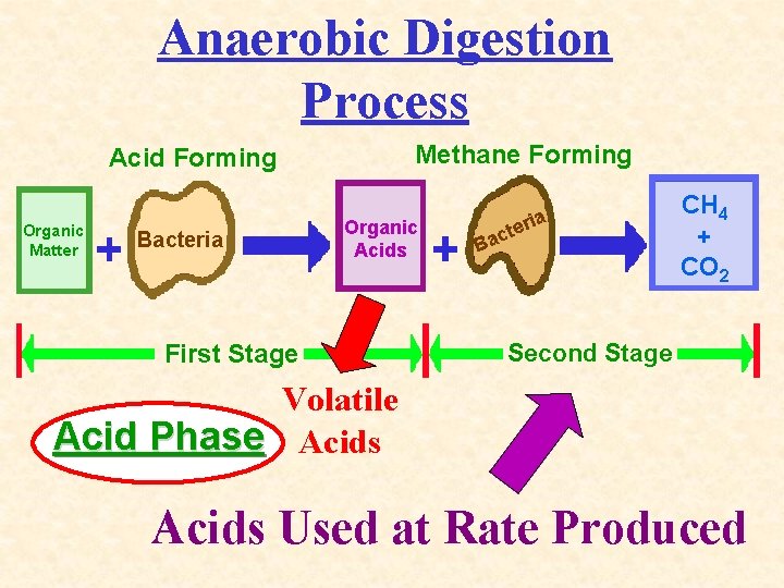 Anaerobic Digestion Process Methane Forming Acid Forming Organic Matter Bacteria Organic Acids First Stage