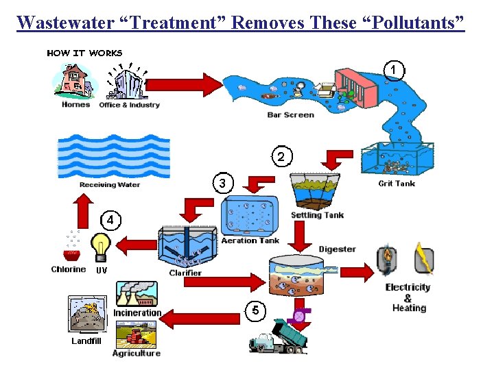 Wastewater “Treatment” Removes These “Pollutants” 
