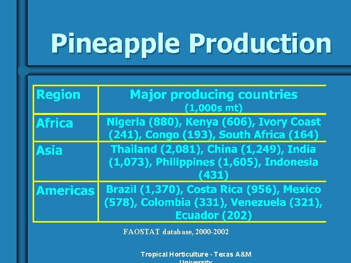 Pineapple Production FAOSTAT database, 2000 -2002 Tropical Horticulture - Texas A&M 